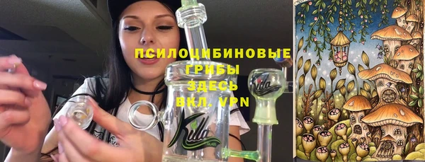 а пвп мука Абаза