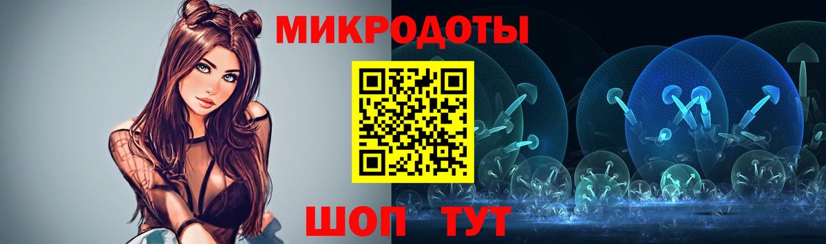Псилоцибиновые грибы Psilocybe Дятьково